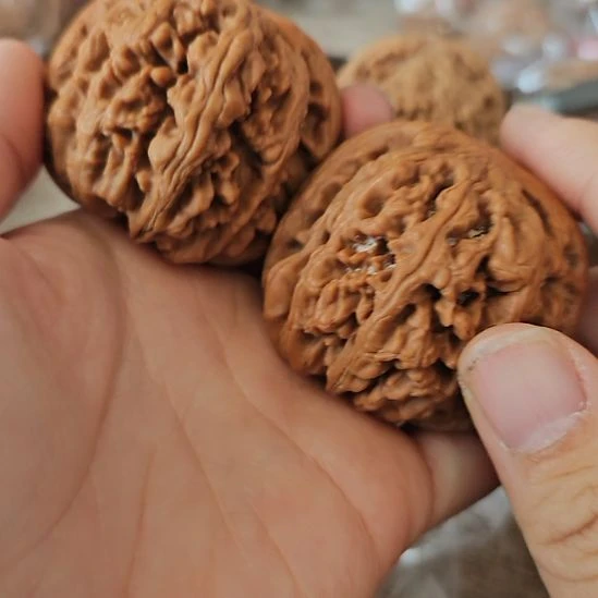 文玩核桃吊坠48粗筋