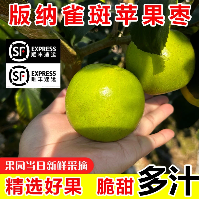 【精选家庭中果】云南西双版纳苹果枣脆甜爽口多汁核小（顺丰包邮）