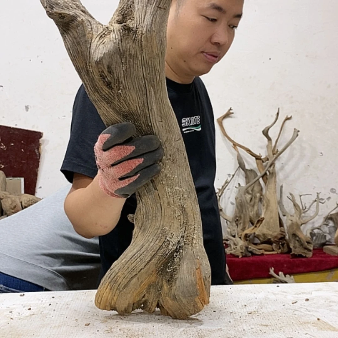 【闪购商品】柏木双*我们都是好孩子