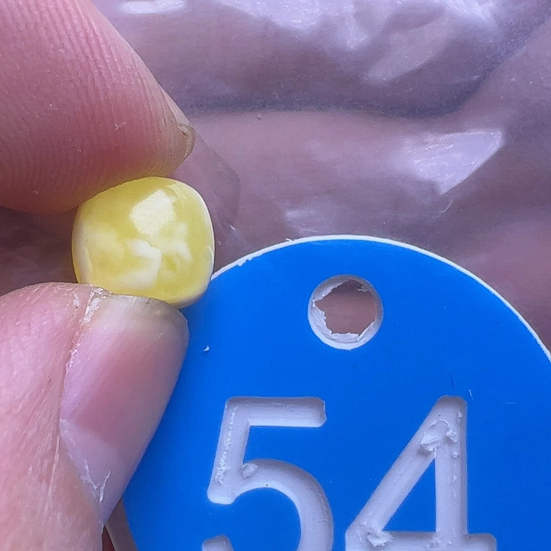 蜜蜡未镶嵌珠宝奇石10m m微花粉