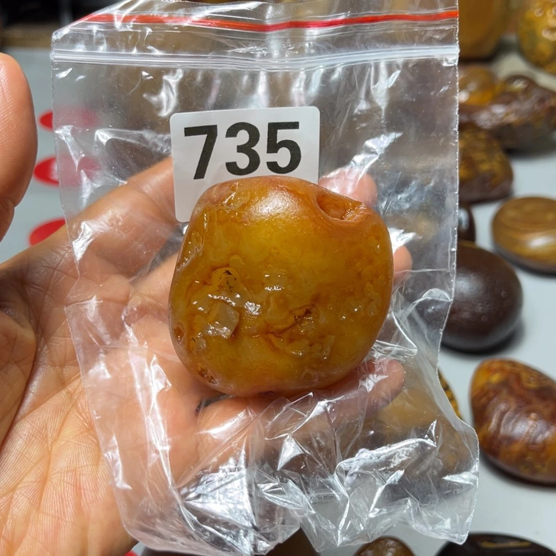 老挝石鸟****在马料马料马料