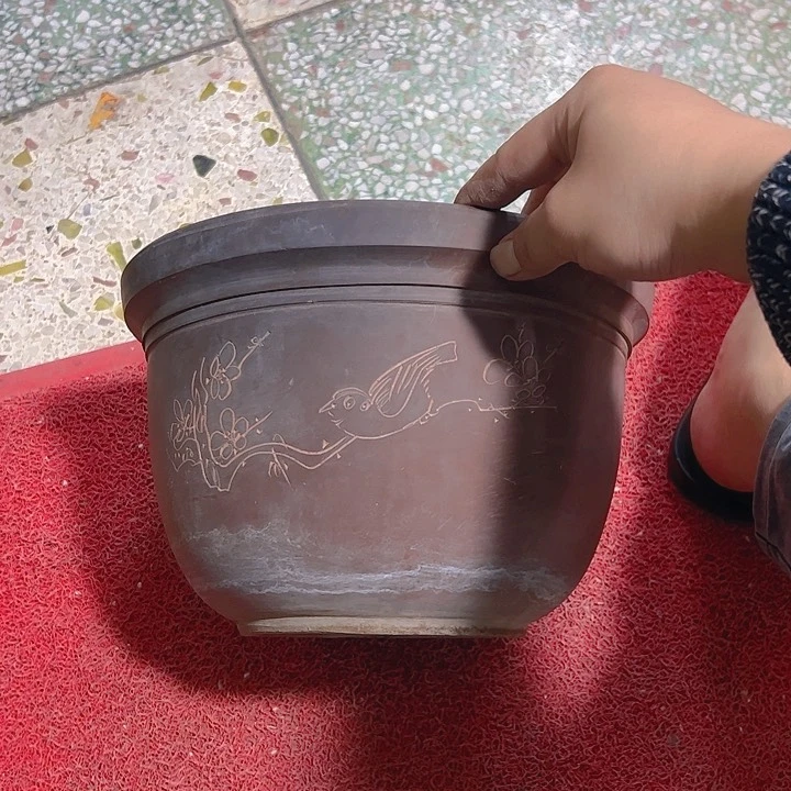 红陶小*民。。。。。。。。。。