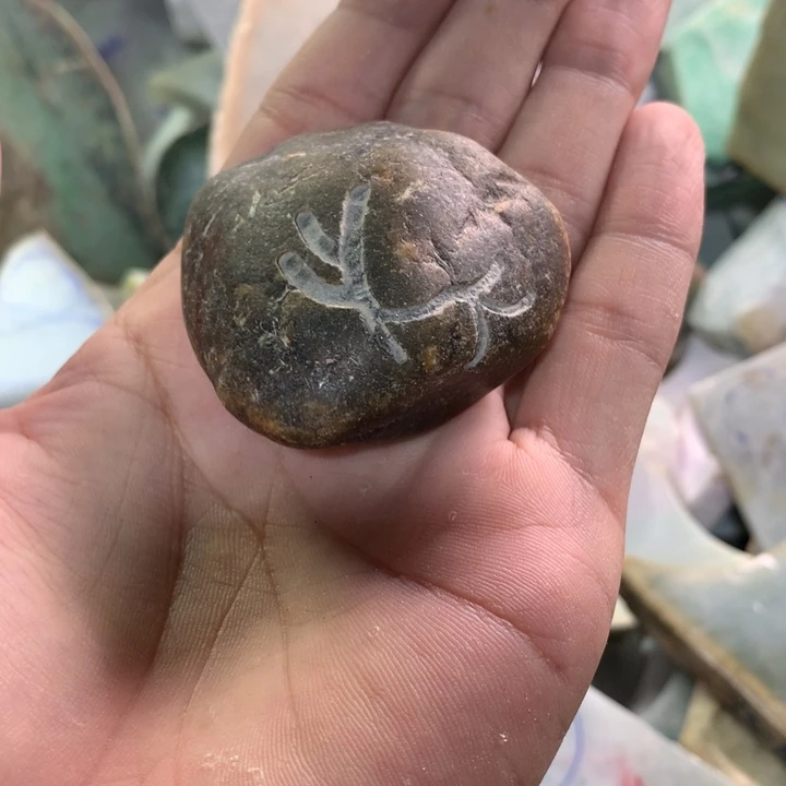 裸石翡翠9号取手把