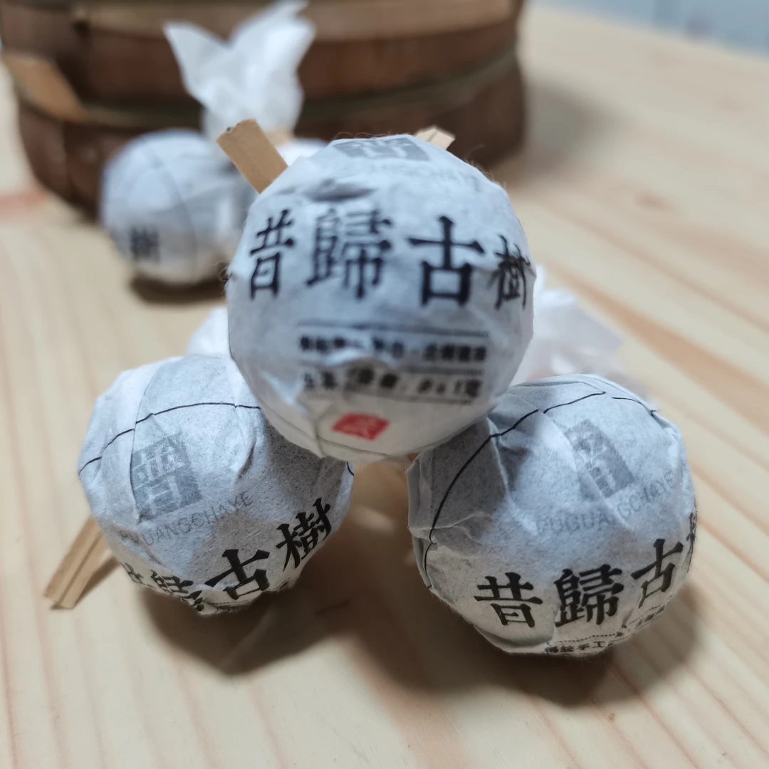 2024年头春昔归古树龙珠，正山纯料，一喝忘不了，正山昔归味