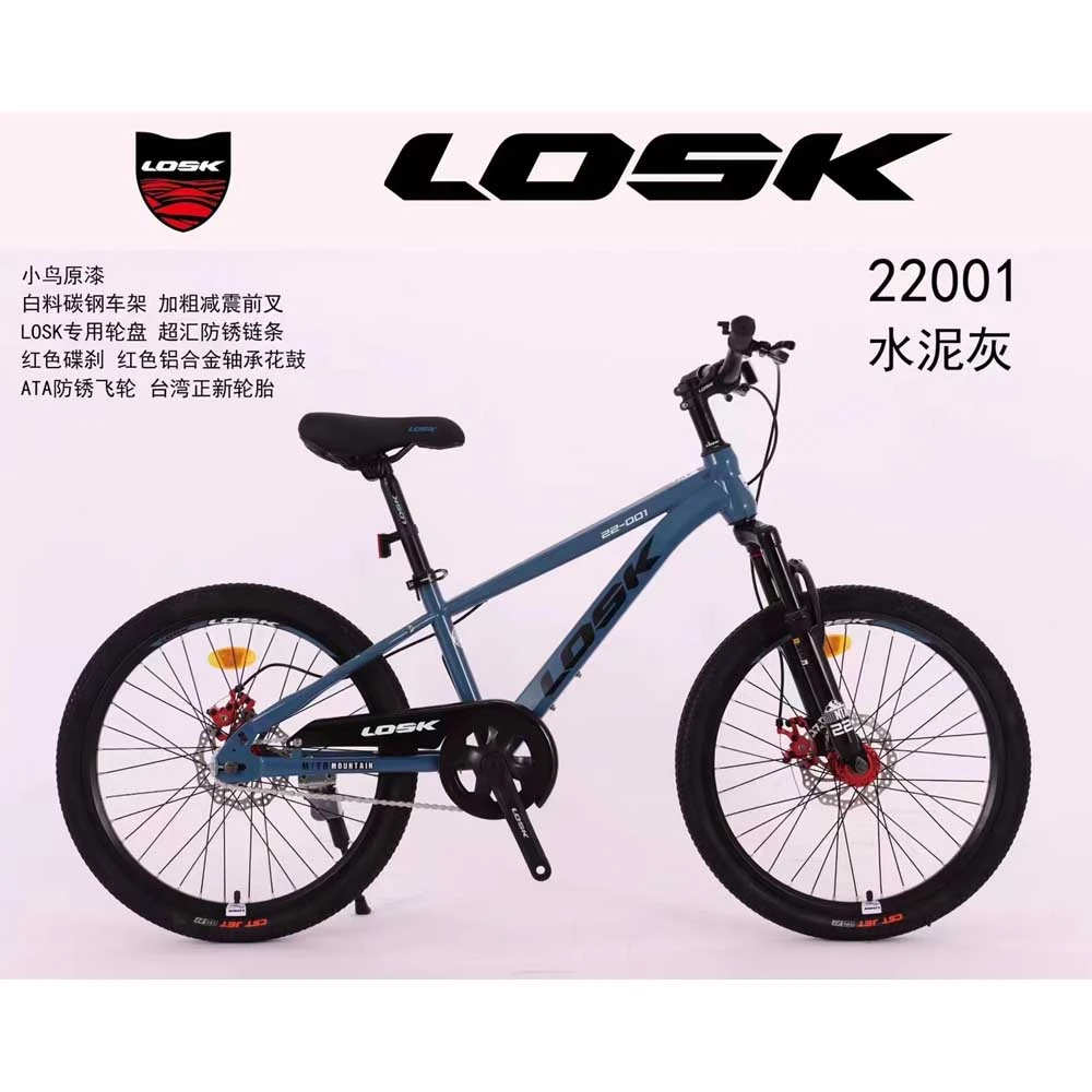 22寸001T学生车