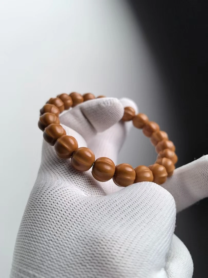 【虎哥出品】精工小鲨鱼