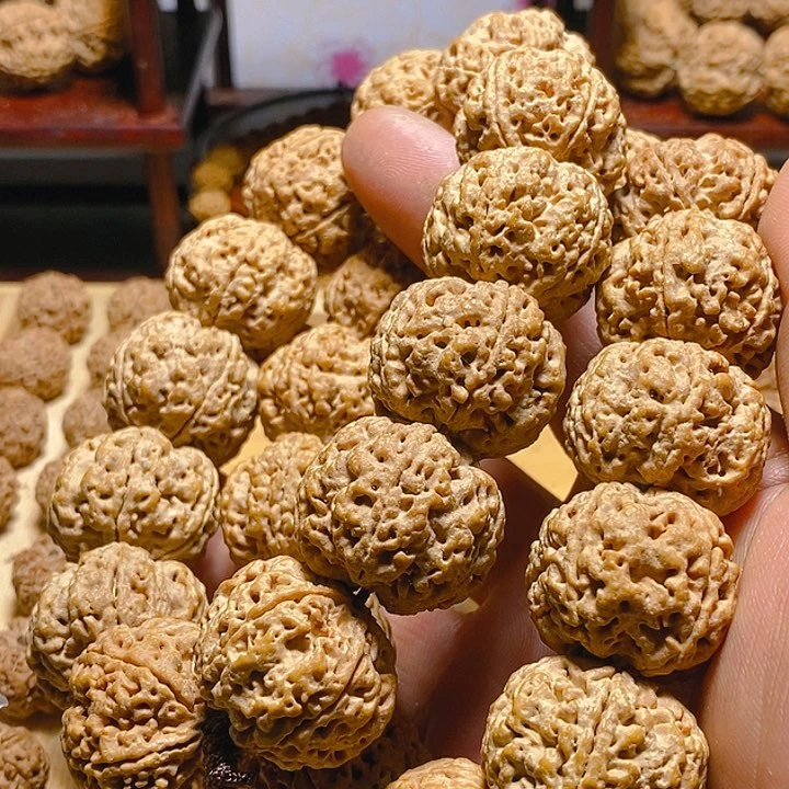 金刚菩提手串财****子古龙老树王