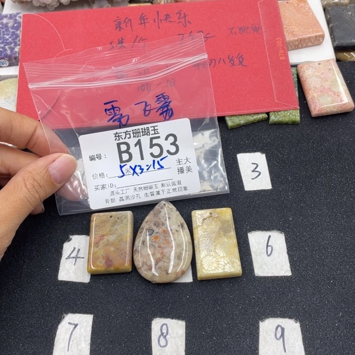 硅化珊瑚（珊瑚玉）颈饰合金雾*雾