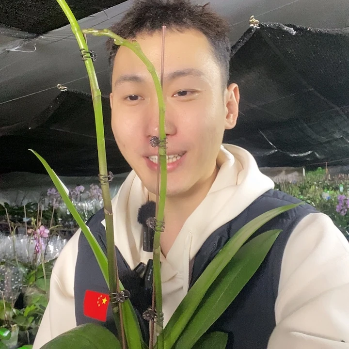 无花朵方美传奇双剑