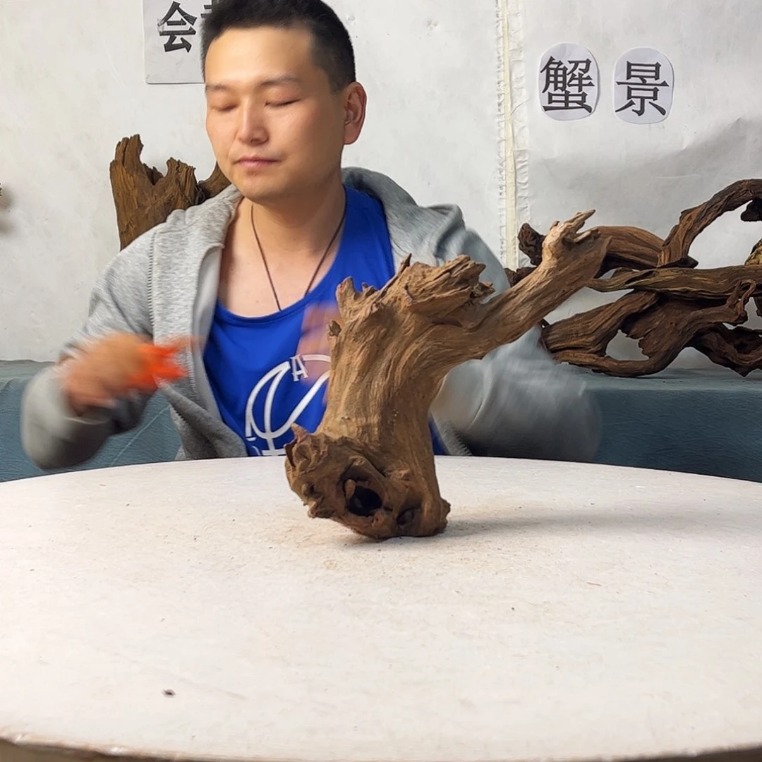 23.26.11 沉木造景爬宠造景