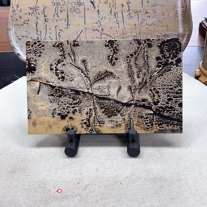 广西石广西天然国画石