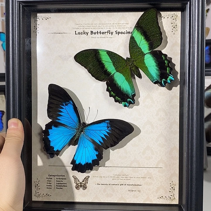 横款天堂爱神无尾默认瑕疵