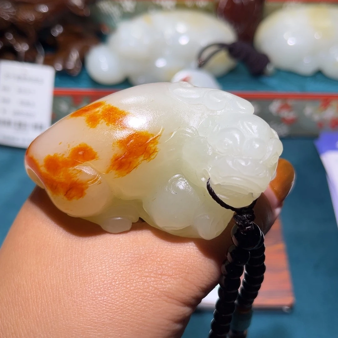 风*雨精选专拍链接