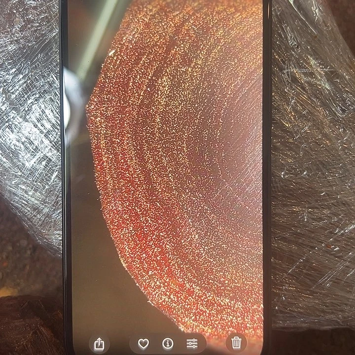 小叶紫檀印度小叶紫檀特爆金星定制