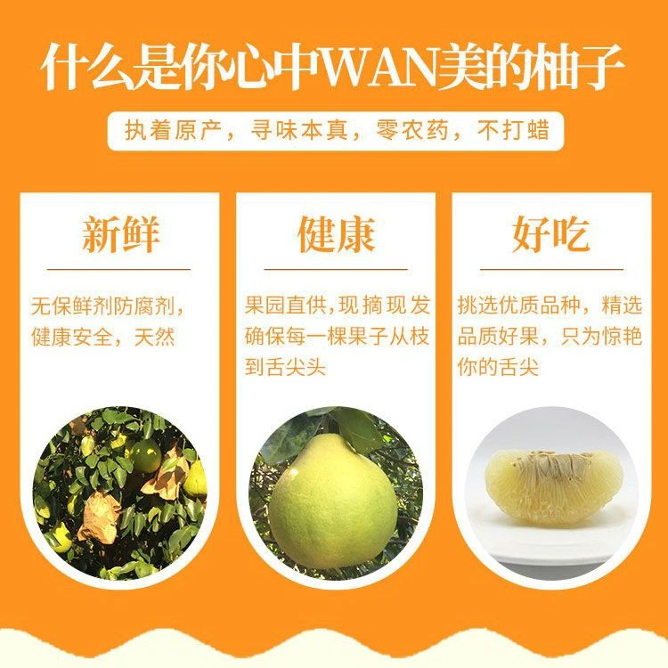 正宗梅州金柚，纯甜无酸沙田柚柚子