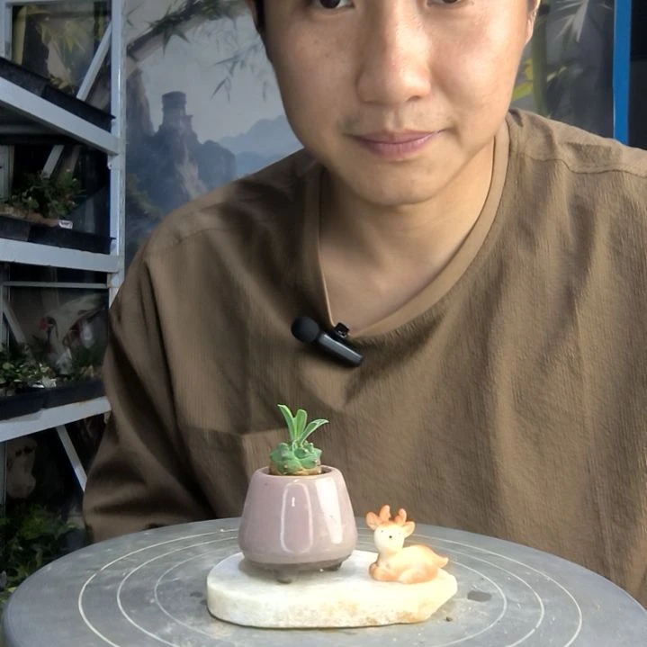 ?*光中青园艺一物一拍188