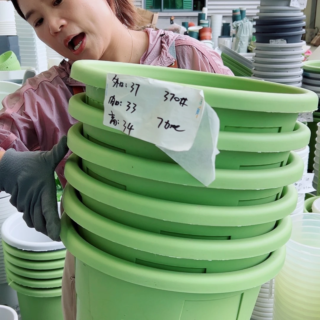 玫瑰370#果绿色4个无托