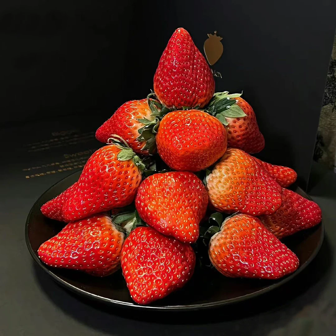 【东北可发】丹东久久老马岗草莓2斤装 顺丰包邮次日送达99草莓辽宁省