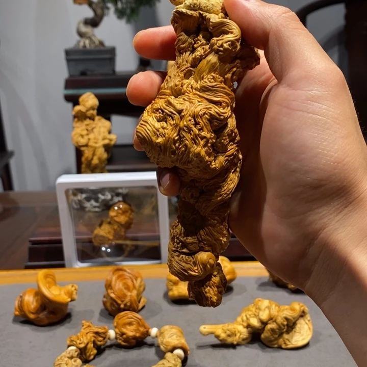 爱***彭六道木降龙木天花板重器