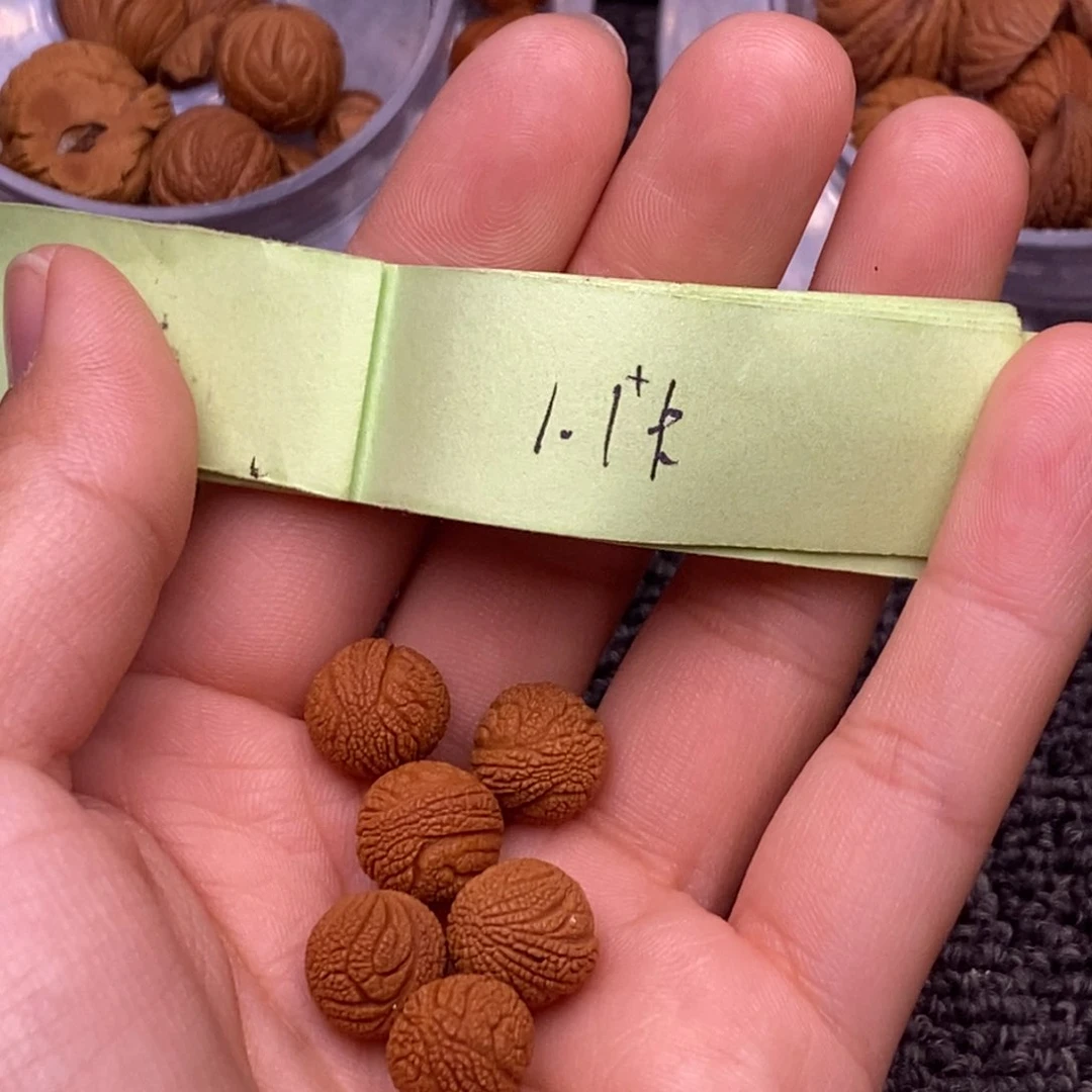 秦岭山脉龙纹桃核 21