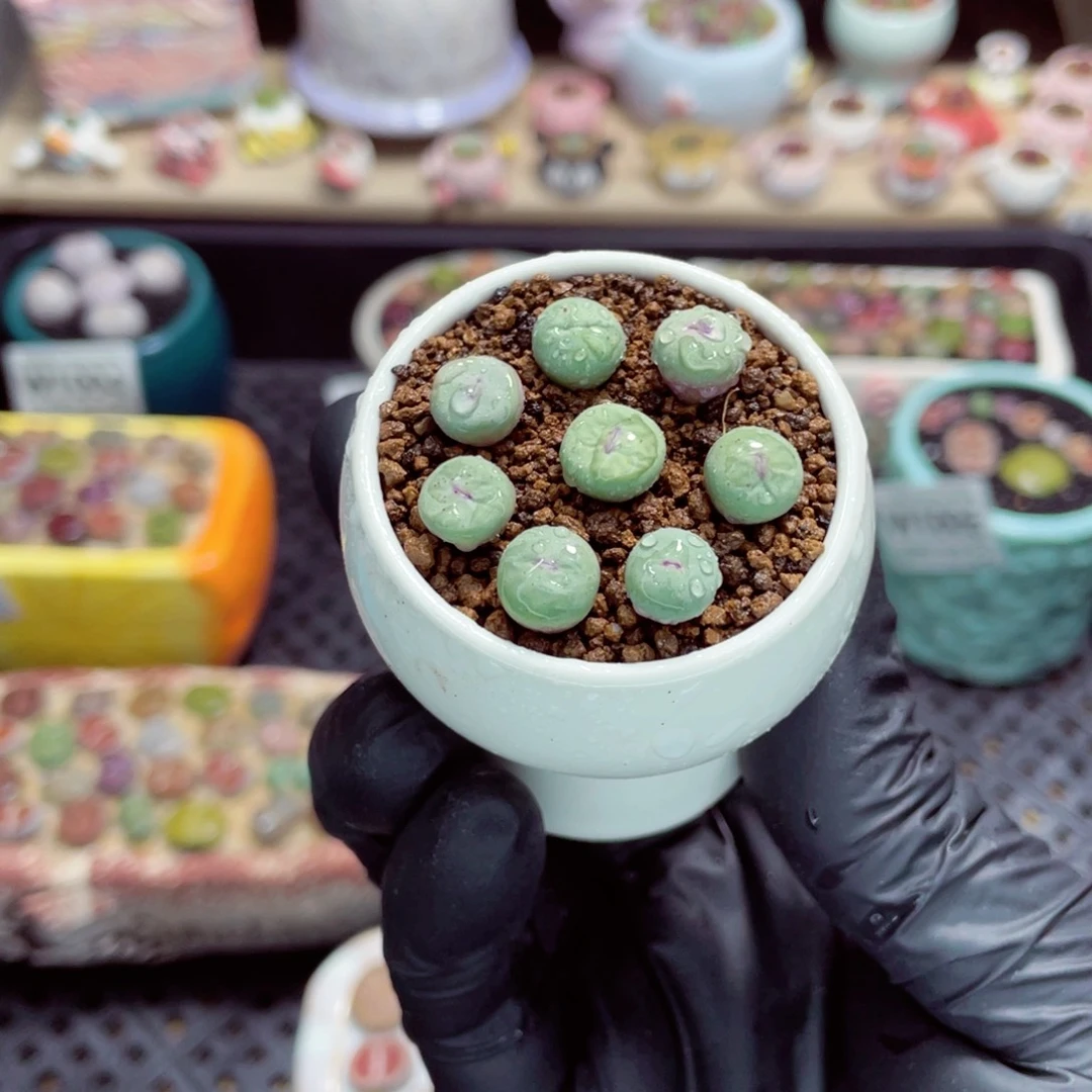 夜间零下地区拍保温箱w1011