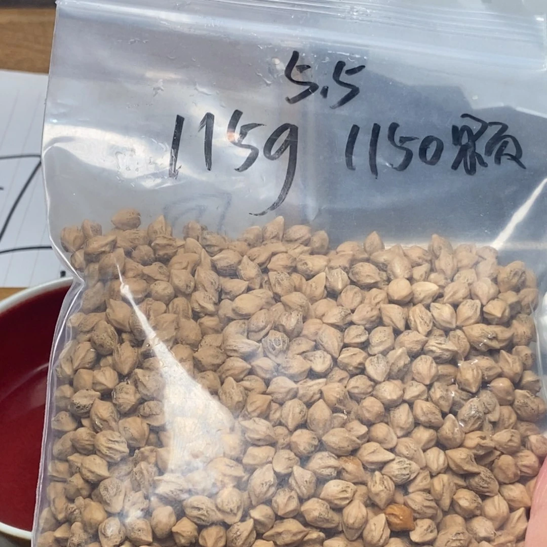 柏香籽/百香籽吊坠