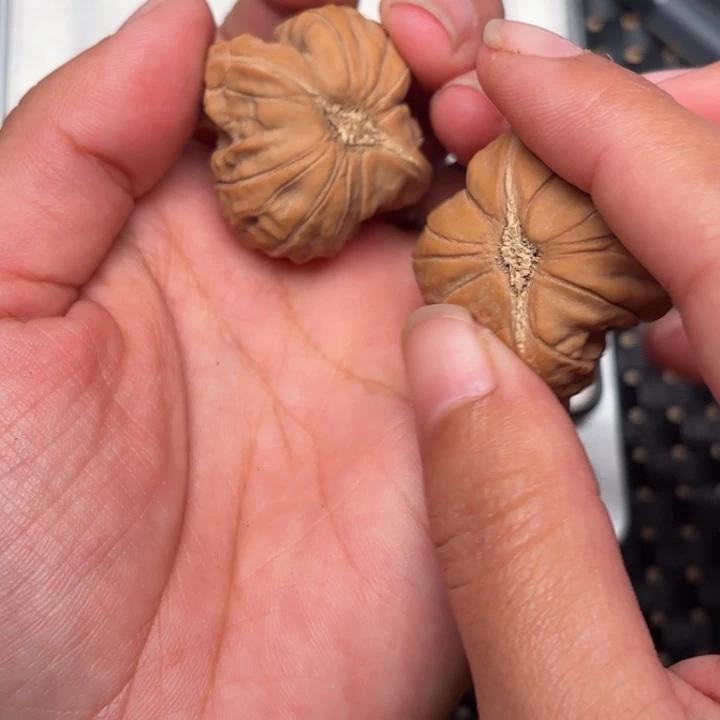 半***沉南瓜墩小异形文玩核桃