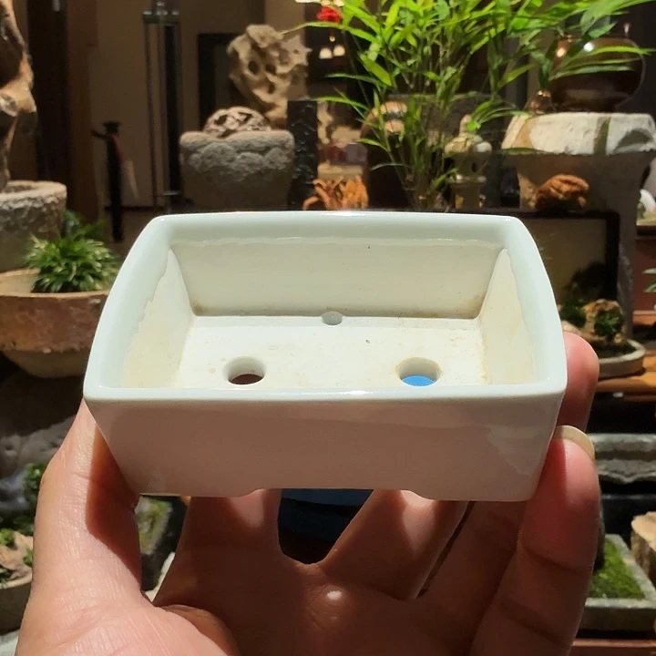 平**水小马槽盆瓷盆。