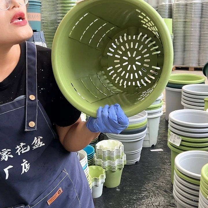 玫瑰盆320果绿色5个无托