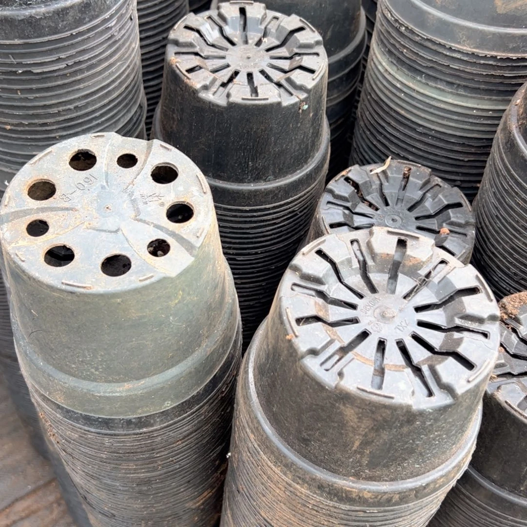 矮胖盆15口径9高 40个