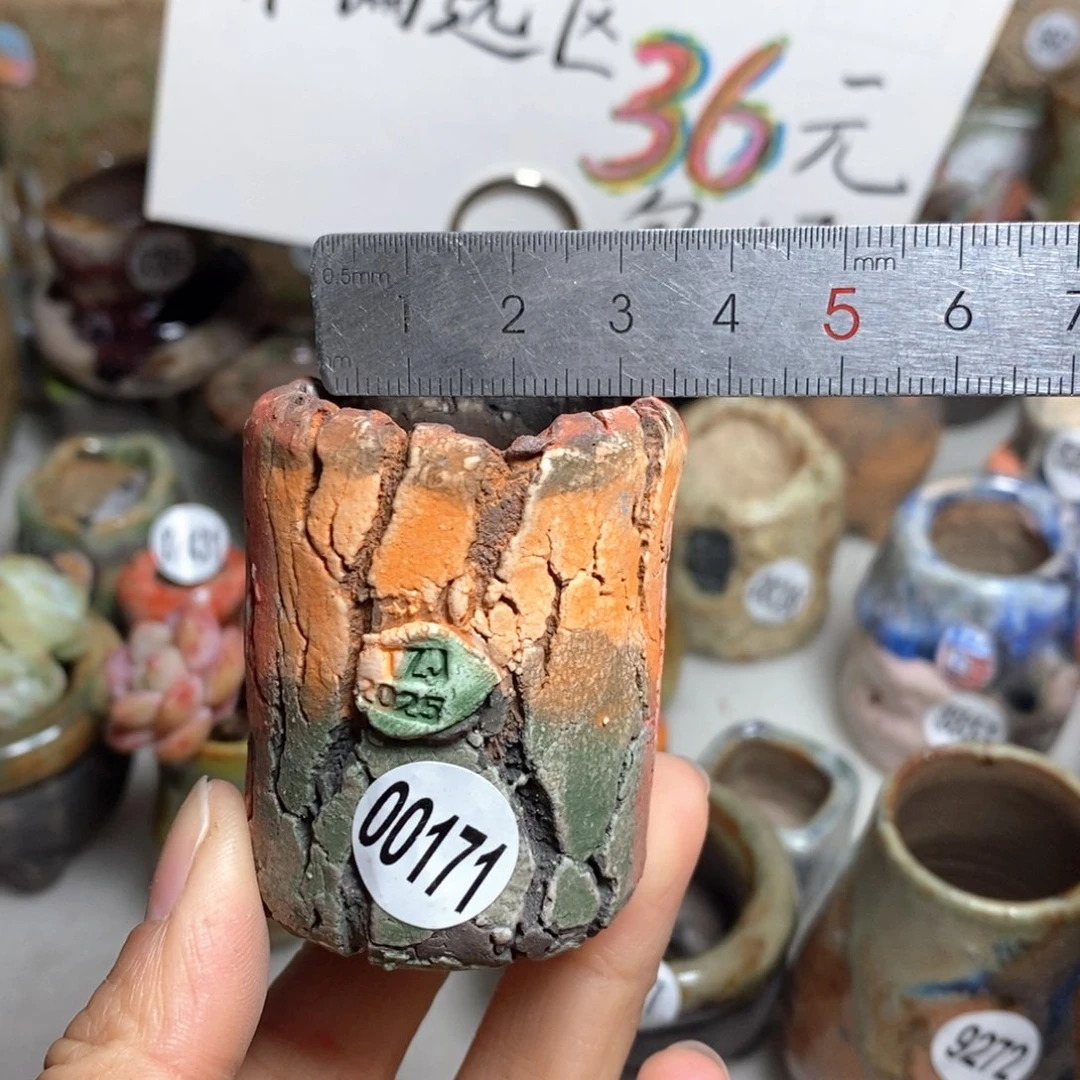 花盆拍3送一个小礼物