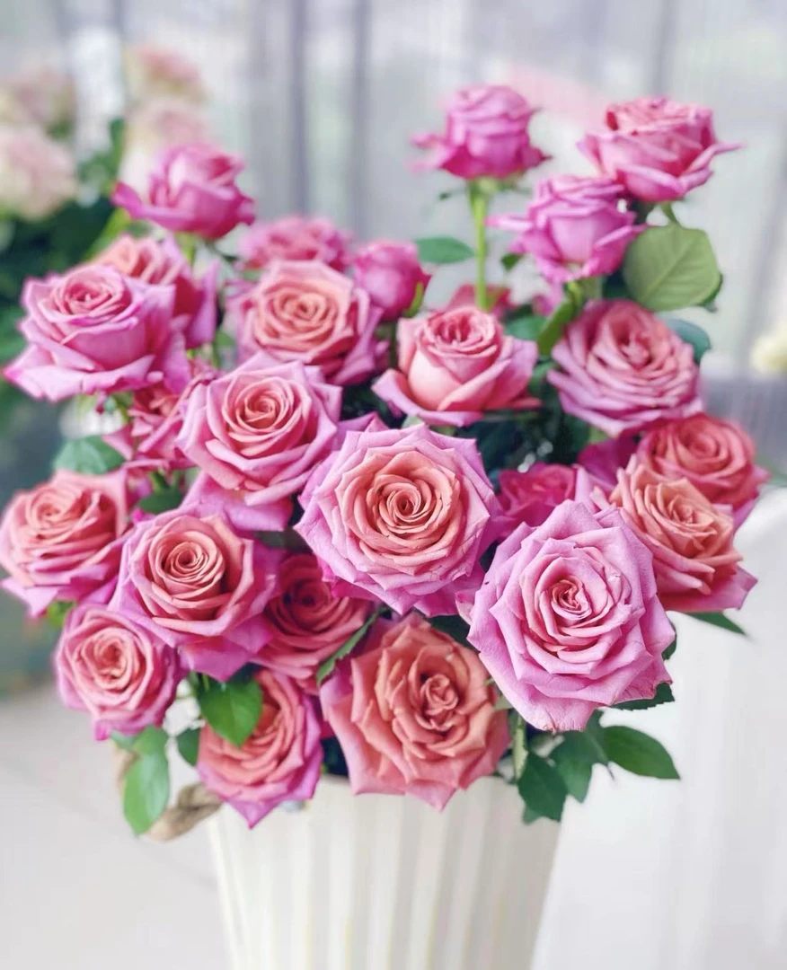 【陌上花开】多头调香师-多头玫瑰（注意带包装醒花~）