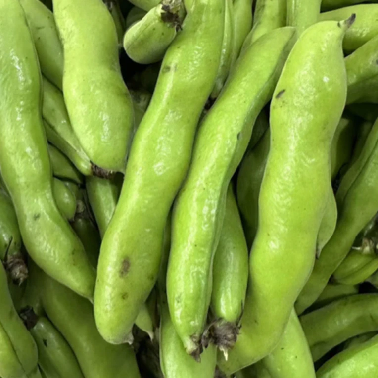 新鲜嫩蚕豆带壳罗汉豆农家现摘现发软糯青籽蚕豆