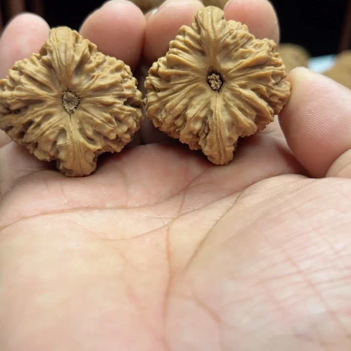 完全开放云***地南疆石