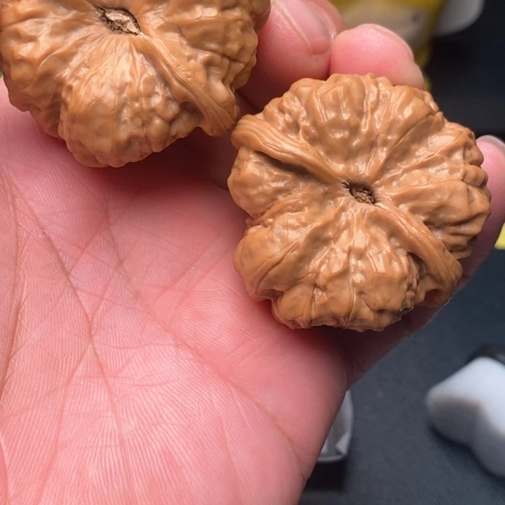 把件文玩核桃加****肉文举大迟