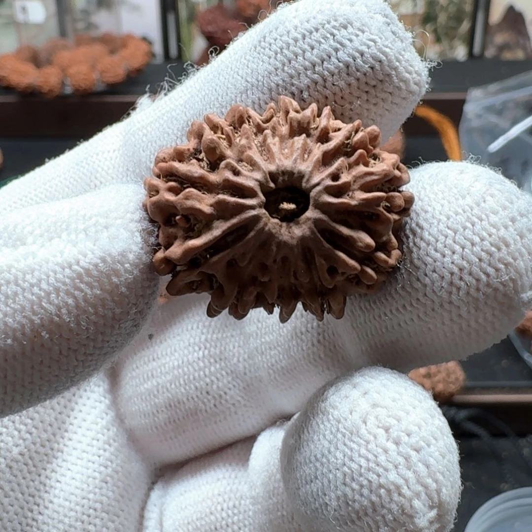 凉***雨金刚菩提手串25十二瓣单颗