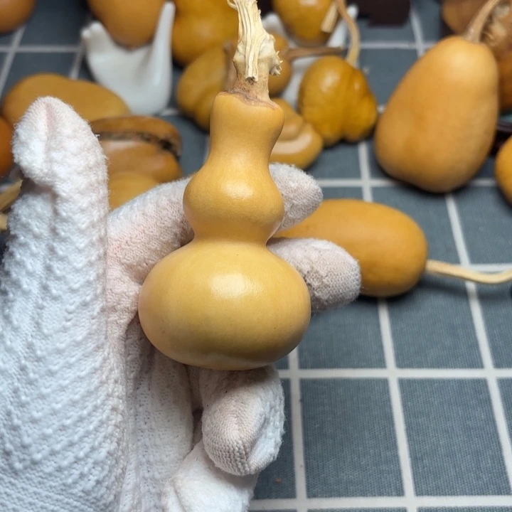 得***道葫芦霉666666666666