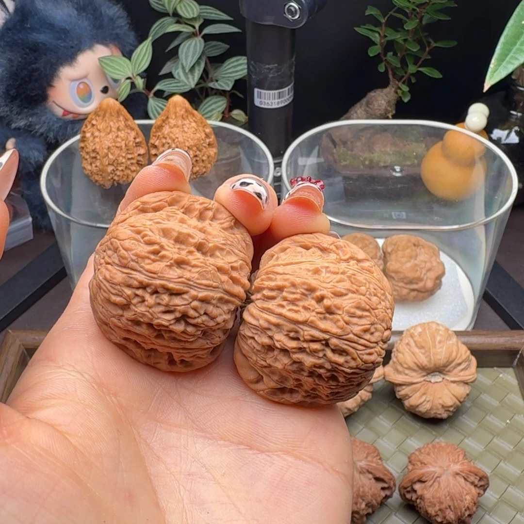 把件龙脊菩提全品泥鳅背40
