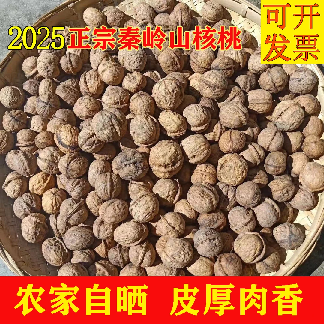 陕西秦岭商洛山核桃老树厚壳笨核桃2025年新货农家特产核桃5斤