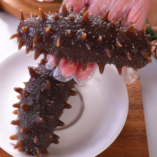 80-85个头俄罗斯原装进口海参淡干六排刺二红参干度9.5干到足干