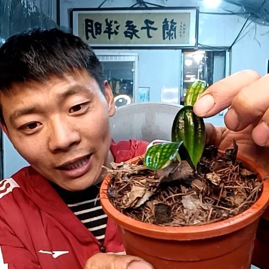 @玖月哥79一颗！。，？。