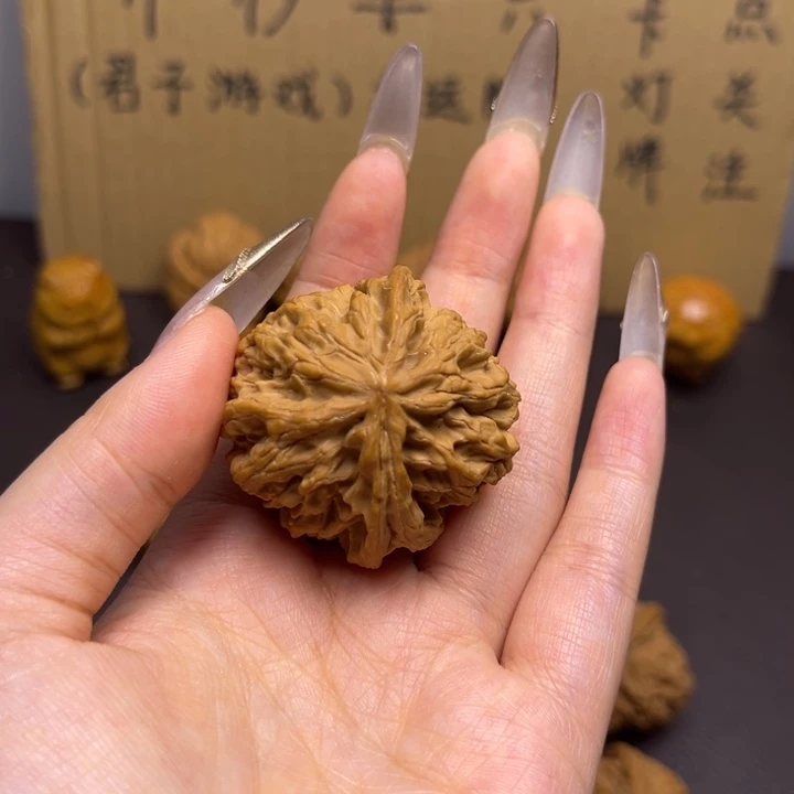 司***Y菩提籽类生命之源单只异型有瑕