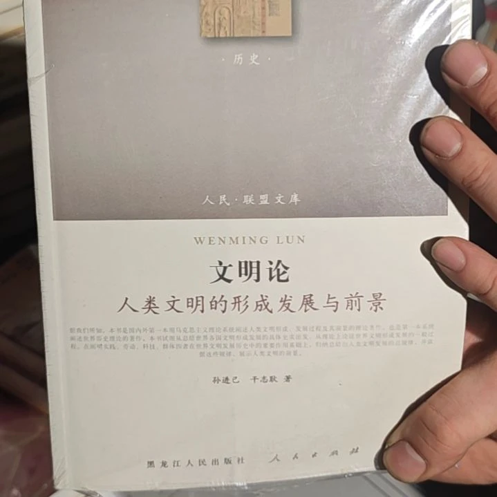 文明论平装库存书