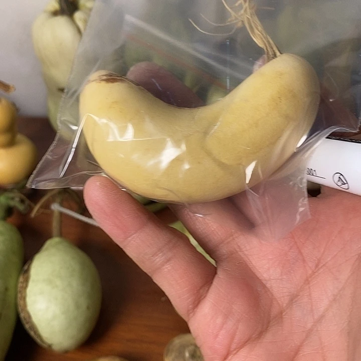 大***成青皮葫芦手把件摆件