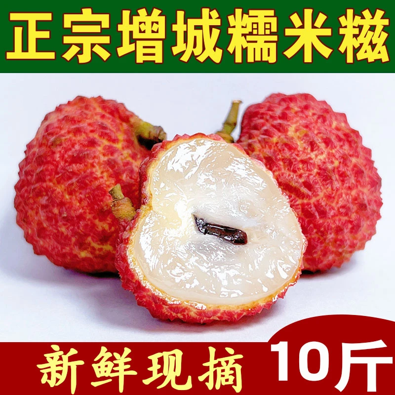 【增城糯米糍10斤荔枝】清甜肉厚汁多核小靓果新鲜现摘广东