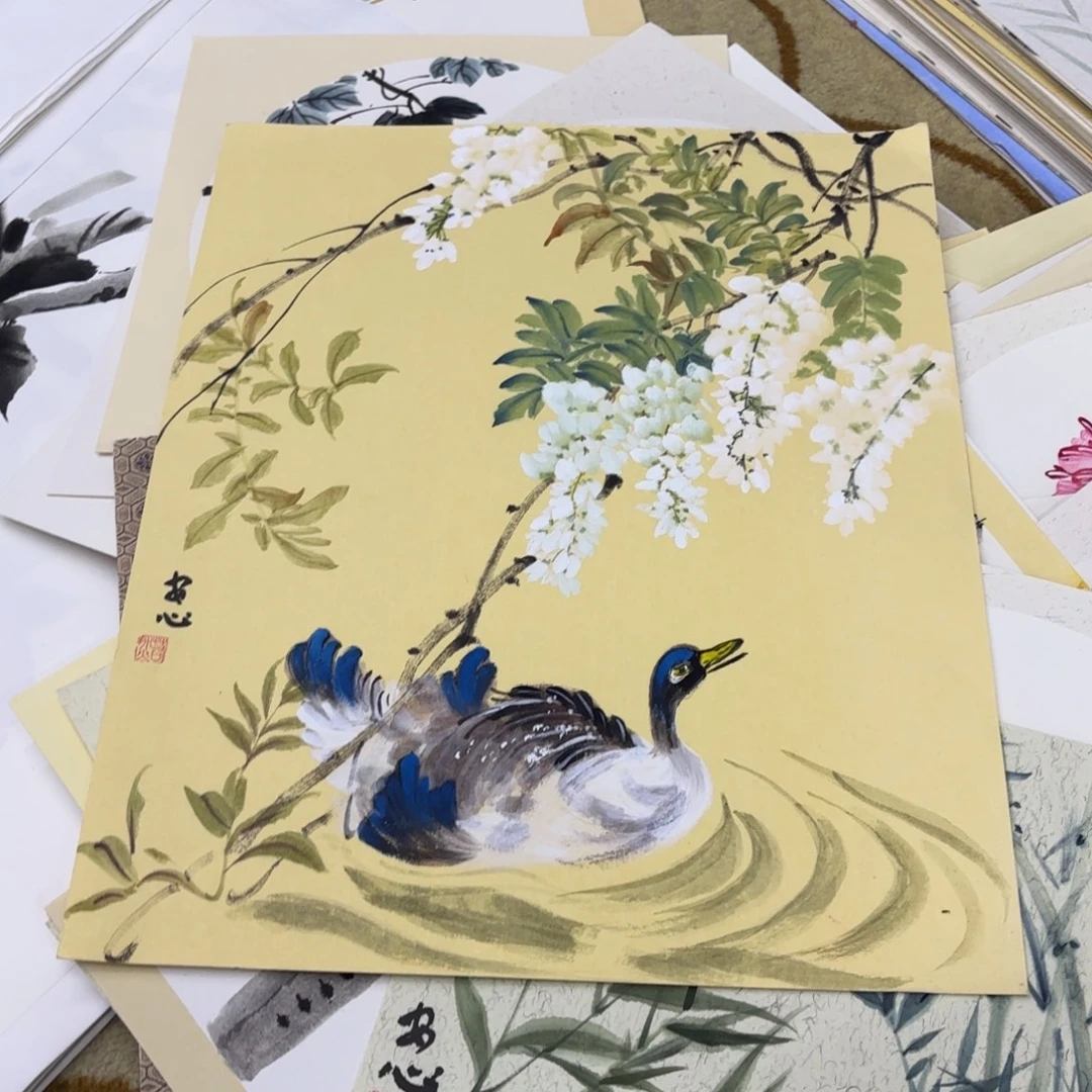 国画花鸟卡纸作品童