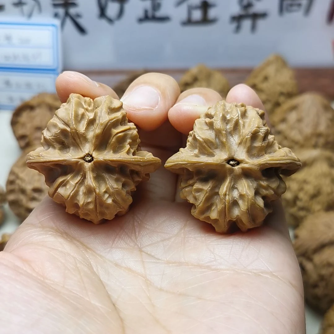 37尺全品野生磐石核桃 油壶