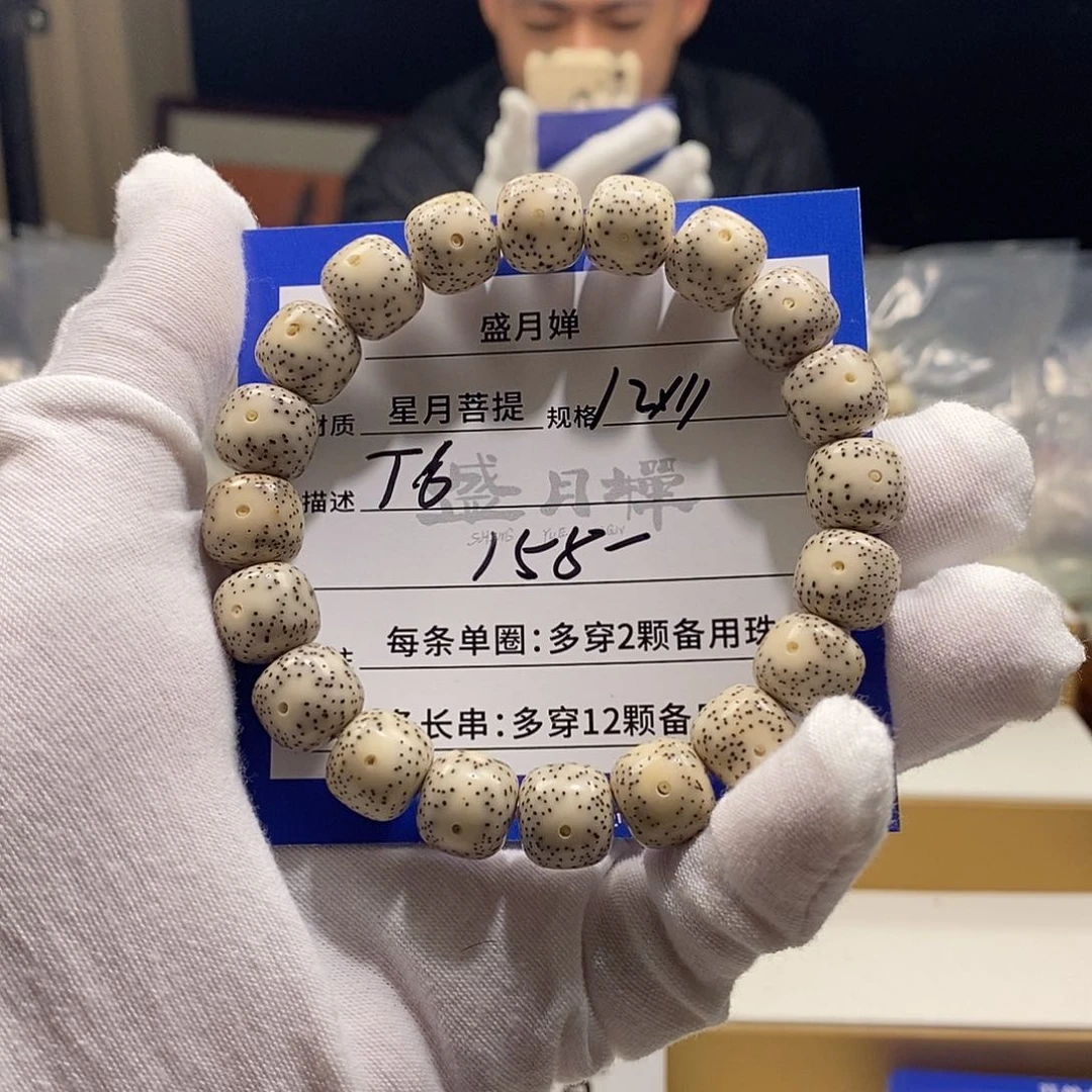 海南星月菩提海南星月菩提T6