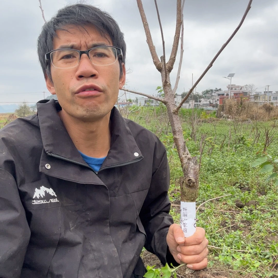 邵***委当前无花栽培后可以开花10