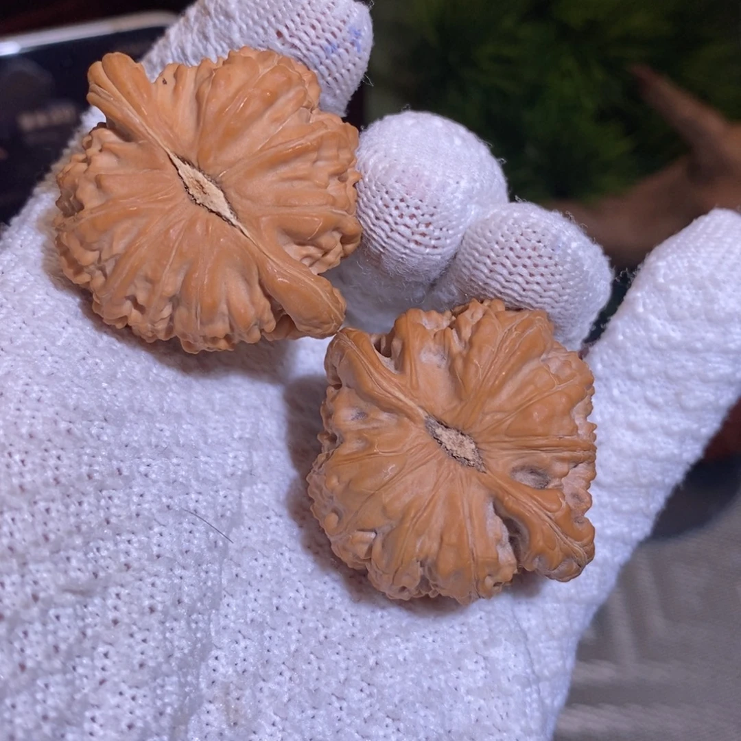 帽***法40尺 全品无修白茬 球白